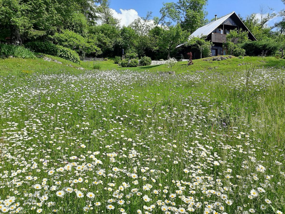 Villa Pocitniska Hisa Eros Bohinj Exterior foto